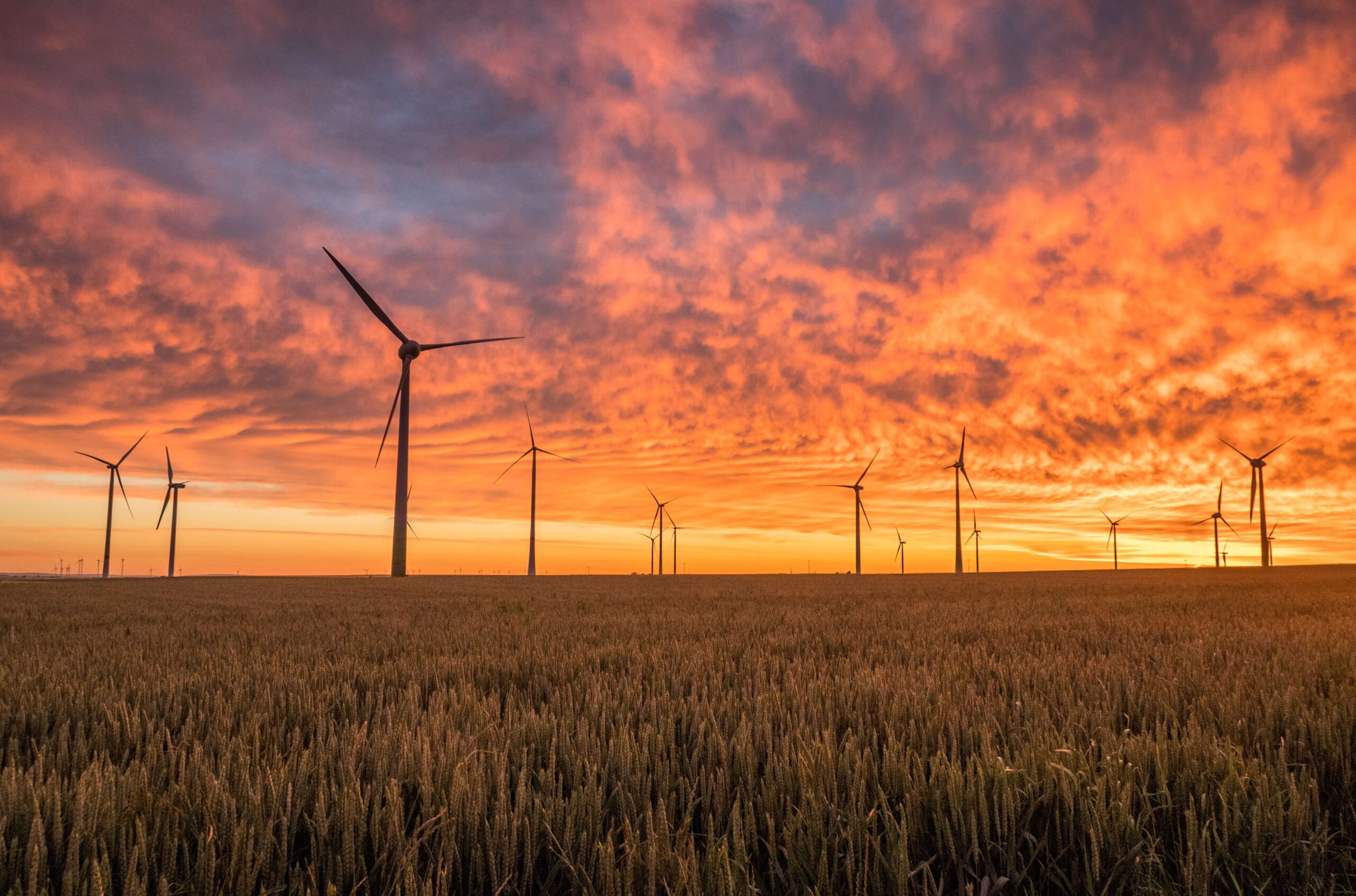 Wind turbine farm with a sunset